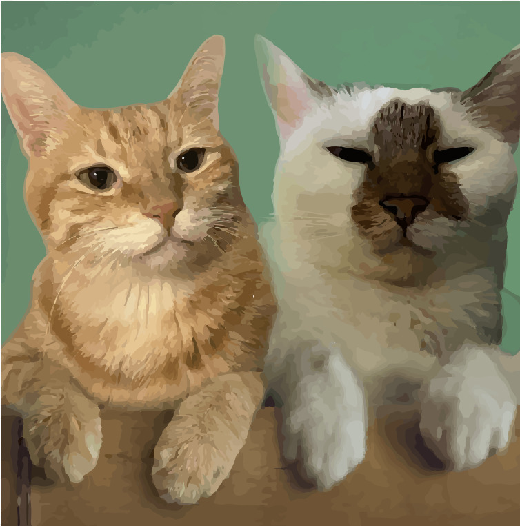 Micords Cat Health Records